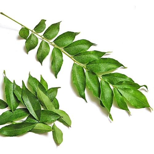 online plant bazar green curry l.jpg