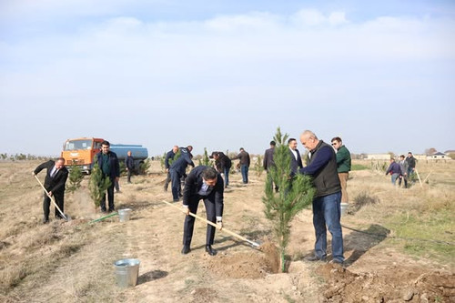 576548720 825444096908247 7056858040085305713 n.jpg?stp=dst jpg s590x590 tt6& nc cat=105&ccb=1 7& nc.jpg