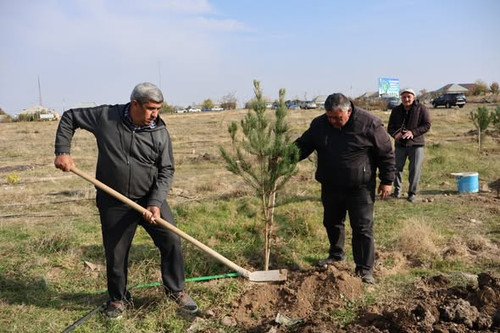 577020138 825444213574902 2014506178461782265 n.jpg?stp=dst jpg s590x590 tt6& nc cat=103&ccb=1 7& nc.jpg