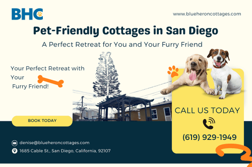 Pet-Friendly Cottages in San Diego: A Perfect Retreat for You and Your Furry Friend.png