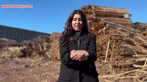 ZsF sj 2cnqkU66q.jpg