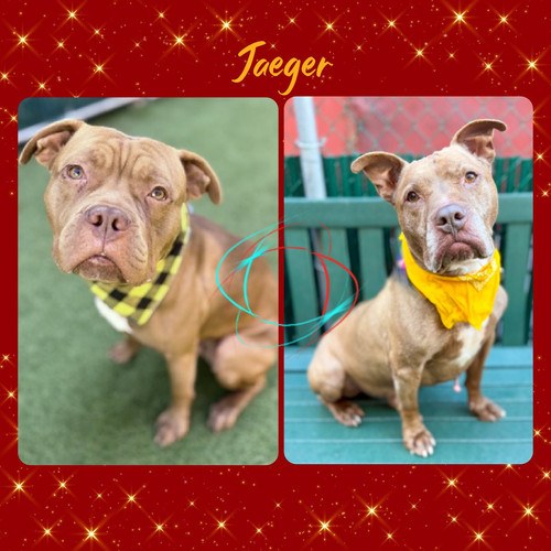 G43dC SbQAAsDw4?format=jpg.jpg