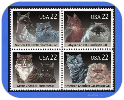 2372 75 Cats blk4.jpg