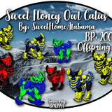 sweet honey owl catus