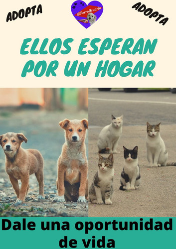 E1OaXksXIAQbG6O.jpg