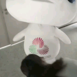 IMG 5906.gif