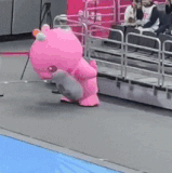 IMG 5905.gif