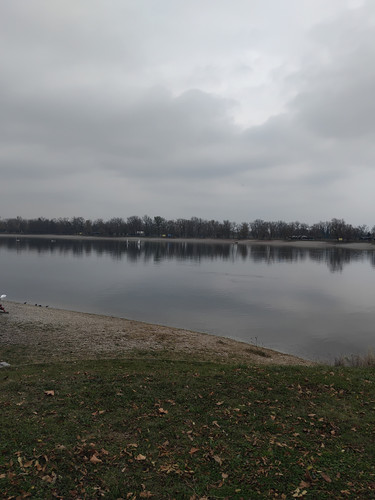 IMG 20251108 125505.jpg