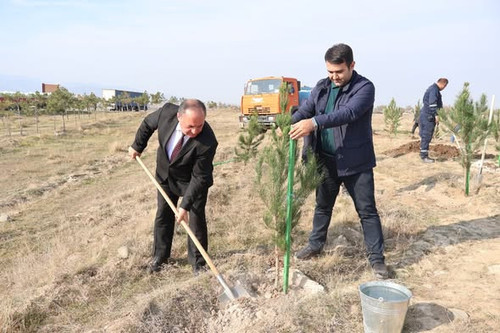 577759348 825444310241559 124580039086211629 n.jpg?stp=dst jpg s590x590 tt6& nc cat=109&ccb=1 7& nc .jpg