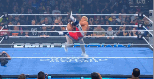 GIF 11 7 2025 9 15 15 PM.gif