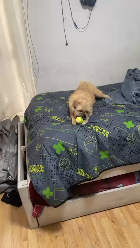 11yLiZjhouW1JZHu.jpg