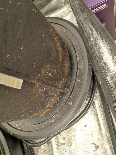IMG 20251108 043126.jpg