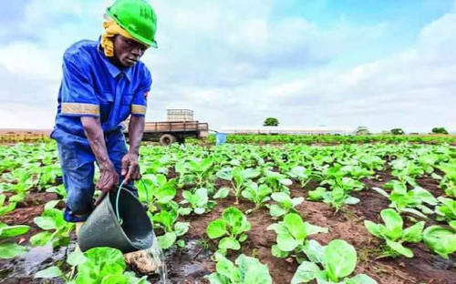 G5OXsEBWIAAzYFX.jpg