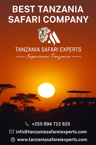Best Tanzania Safari Company By Tanzania Safari Experts.png