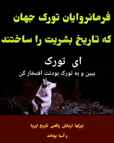 yOm4TFhxZfTqn6G9.jpg