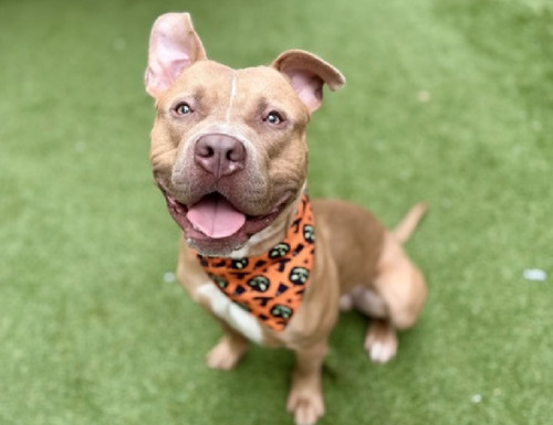 G4X99 4asAYFk8x?format=jpg.jpg