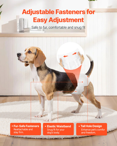 us%2FCWNBZNKMG96P2C7UG001V0%2Foriginal img v1%2Fpet diapers f4.jpg