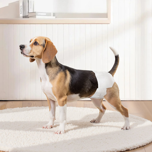 us%2FCWNBZNKMG96P2C7UG001V0%2Foriginal img v1%2Fpet diapers m100 1.12.jpg