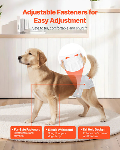 us%2FCWNBZNKMG144DSR9E001V0%2Foriginal img v1%2Fpet diapers f4.jpg