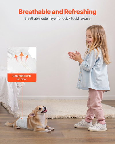 us%2FCWNBFDGG96PXSWPWY001V0%2Foriginal img v1%2Fpet diapers f3.jpg