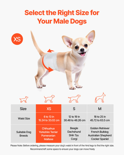 us%2FCWNBFDGG96PXSWPWY001V0%2Foriginal img v1%2Fpet diapers f1.jpg