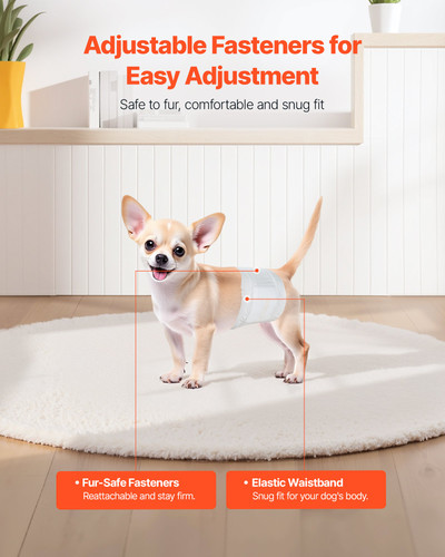 us%2FCWNBFDGG96PXSWPWY001V0%2Foriginal img v1%2Fpet diapers f4.jpg