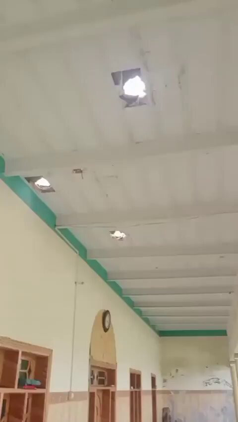 ObCIJXrzlLwm2jOz.jpg