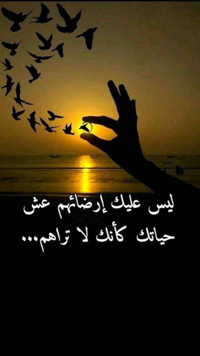 B054CDC8 248D 4CAA B228 BC517008BD52.jpg
