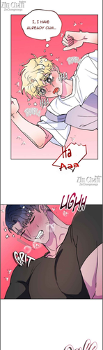 15.png