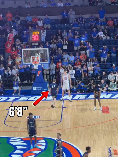 q p EIl7mwdzy9uc.jpg