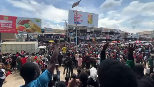 wLrXjFNds5i7w1v .jpg