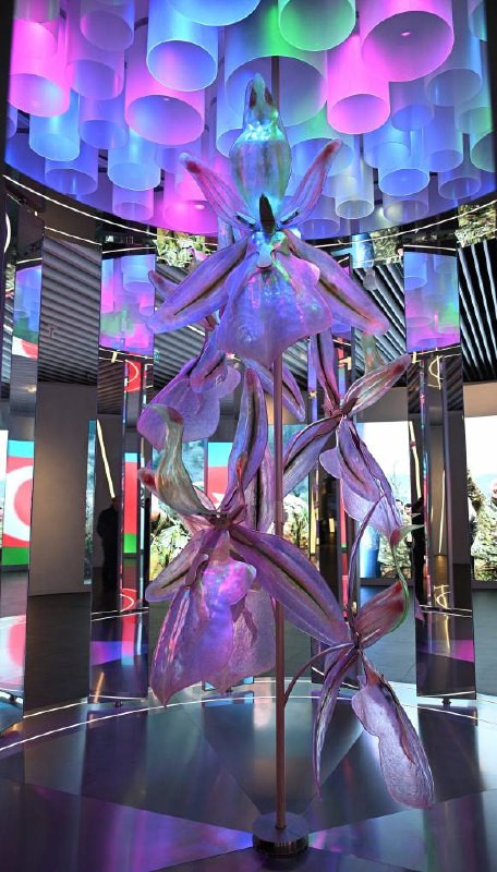 AiV9YMeSmL4r0yOwvtro222 bBt ve6G J8wWNcGaXhhMR0TnQRRuLLQXGf7GIpzCAVYIuoAYDWIUEjlym qvdXMpgTMT8e6H1n6.jpg