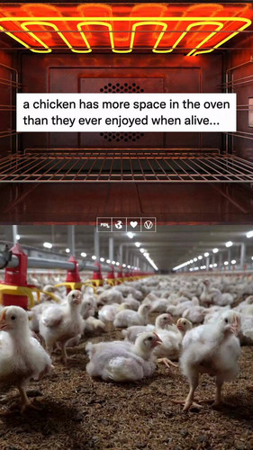 DTQUN9mMhdXmdHIm.jpg