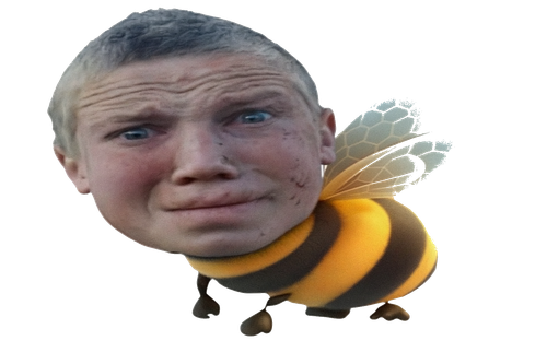 ChatGPT Image 8 nov. 2025, 13 26 41.png