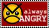 angry.jpg