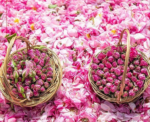 KbhZwTifwTdwgCzWXfnt BJJgU6cMWqbOVZLlyeM3sU eW1vZl0YMK4V7 IX4a2xS6rNmgRaNCAs8JOnDu LSpPgumVX2VXZkK2A.jpg