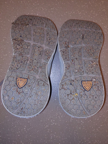 1000019981.jpg