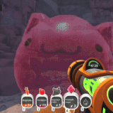 1 1.gif