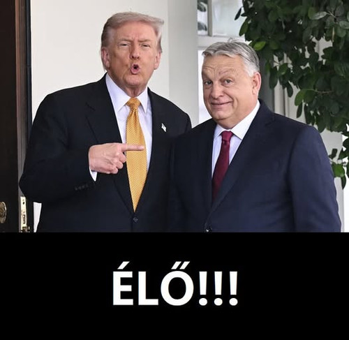 579899031 1294559689377076 5300186019208213676 n.jpg?stp=dst jpg p526x296 tt6& nc cat=105&ccb=1 7& n.jpg