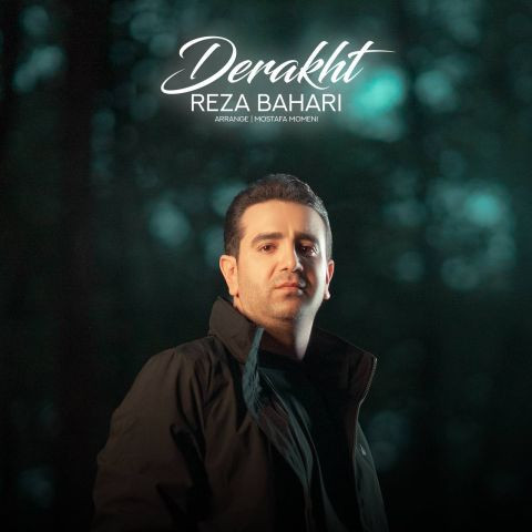 دانلود آهنگ رضا بهاری به نام درخت