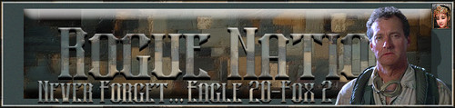 PatchW Banner.jpg