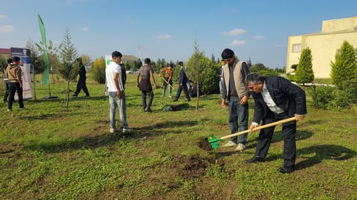 577383765 686980134471486 7942225152179764131 n.jpg?stp=dst jpg s590x590 tt6& nc cat=105&ccb=1 7& nc.jpg