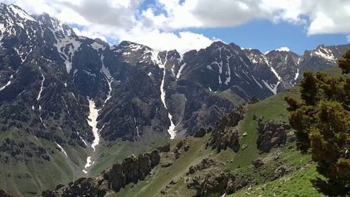 F 1vMfheRTd829Vt.jpg