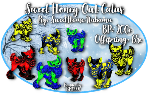 sweet honey owl catus.png