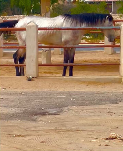 04pvM m9c78ACXLb.jpg