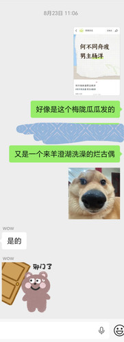 1000036181.jpg