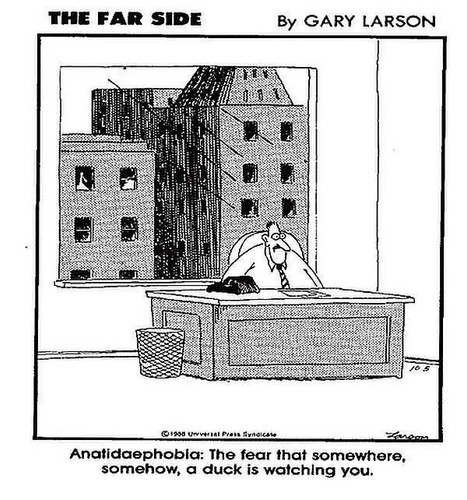 Anatidaephobia.jpg