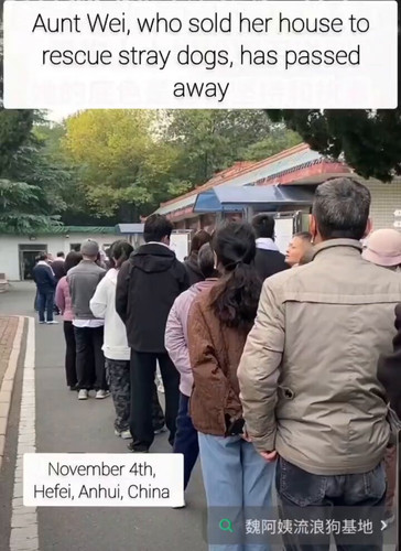 8cPO7ebn9PJ67t3d.jpg