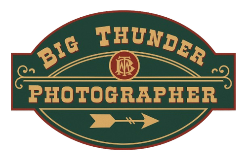 image removebg preview (31).png