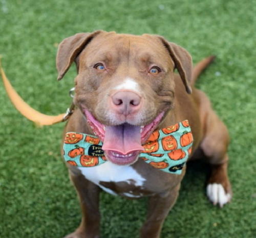 G4NZ 6eWwAAQ8sV?format=jpg.jpg